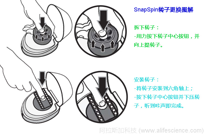 賽默飛mySPIN 6迷你離心機(jī)