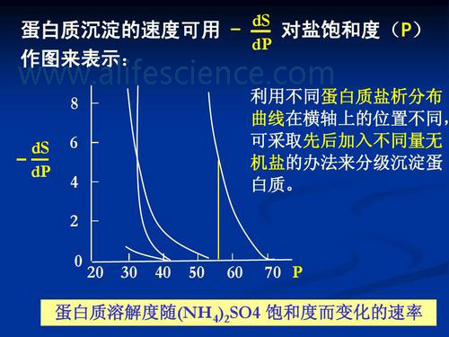 蛋白提取純化的幾種常用方法