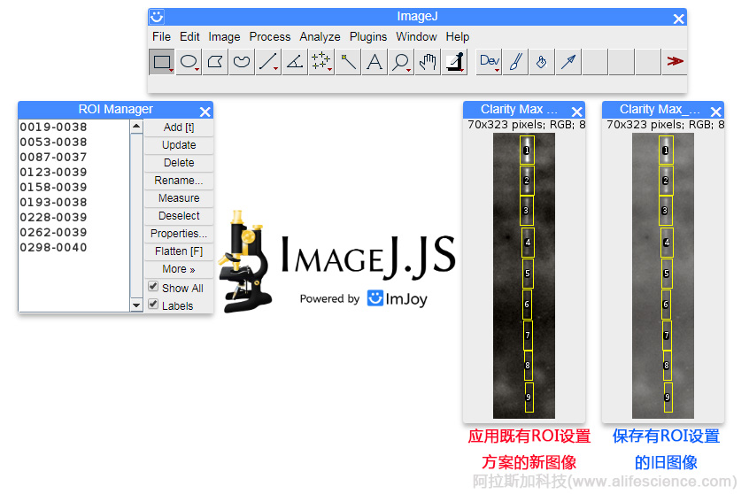 用ImageJ創(chuàng)建ROI設(shè)置的復(fù)制應(yīng)用