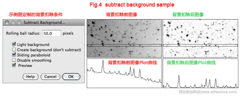 ImageJ圖像分析軟件背景扣除滾球半徑設置.jpg