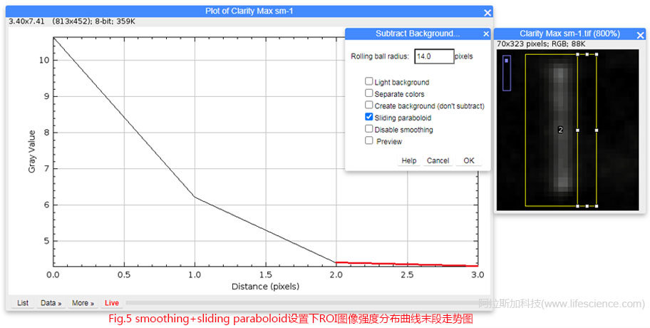 Fig 5 smoothing+sliding paraboloid設(shè)置下ROI圖像強(qiáng)度分布曲線末段走勢(shì)圖.jpg