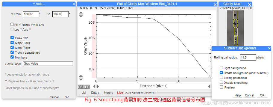 Fig 6 Smoothing算法生成的選區(qū)背景信號(hào)分布圖.jpg