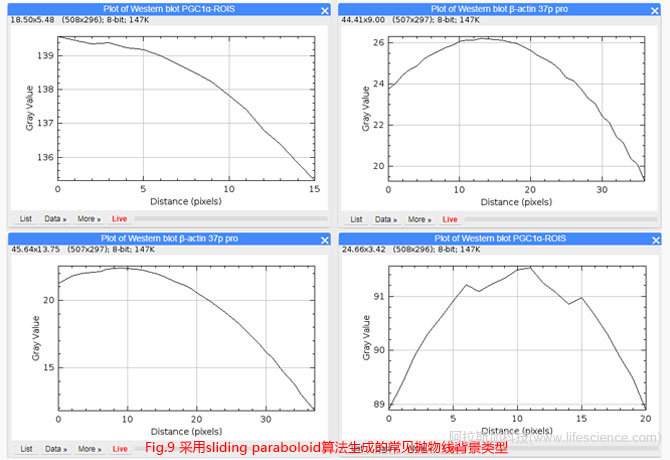 Fig 9 采用sliding paraboloid算法生成的常見拋物線背景類型.jpg