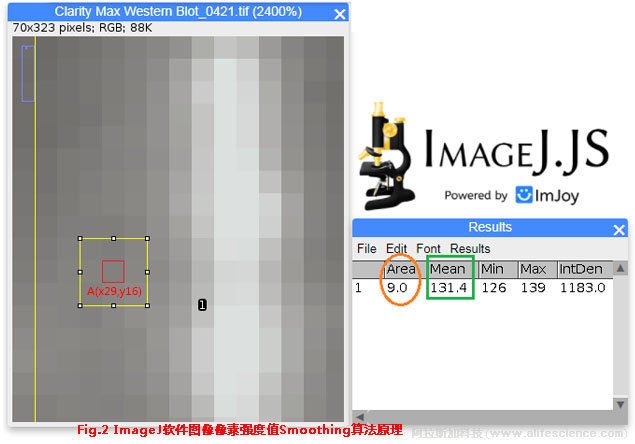 Fig 2 ImageJ軟件圖像像素強度值Smoothing算法原理.jpg