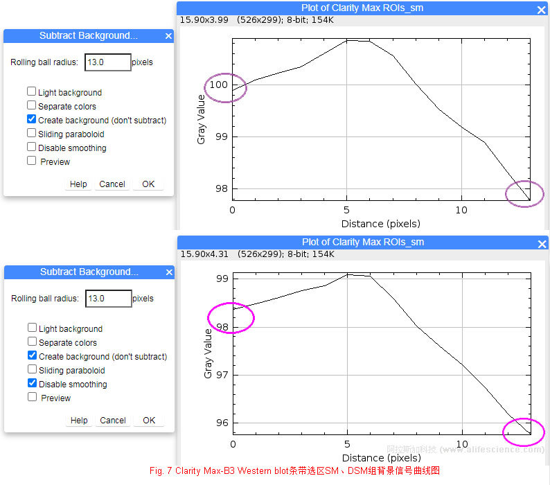 Fig 7 Clarity Max-B3 Western blot條帶選區(qū)SM、DSM組背景信號曲線圖.jpg