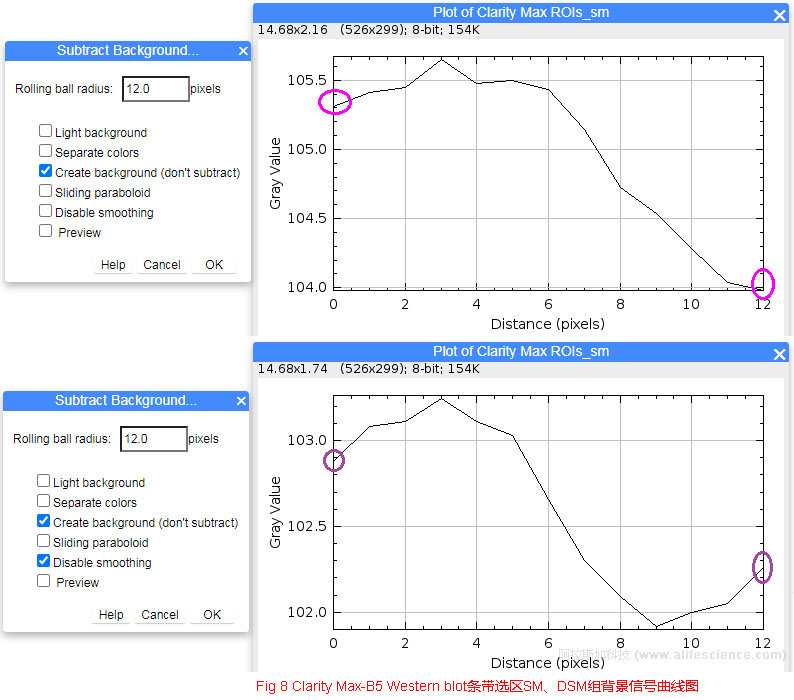 Fig 8 Clarity Max-B5 Western blot條帶選區(qū)SM、DSM組背景信號曲線圖.jpg