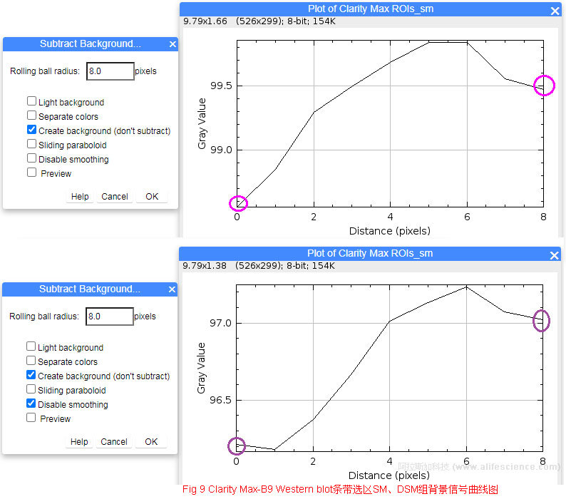 Fig 9 Clarity Max-B9 Western blot條帶選區(qū)SM、DSM組背景信號曲線圖.jpg