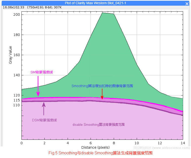 Fig 5 ImageJ軟件Smoothing與disable Smoothing算法背景強度范圍 .jpg