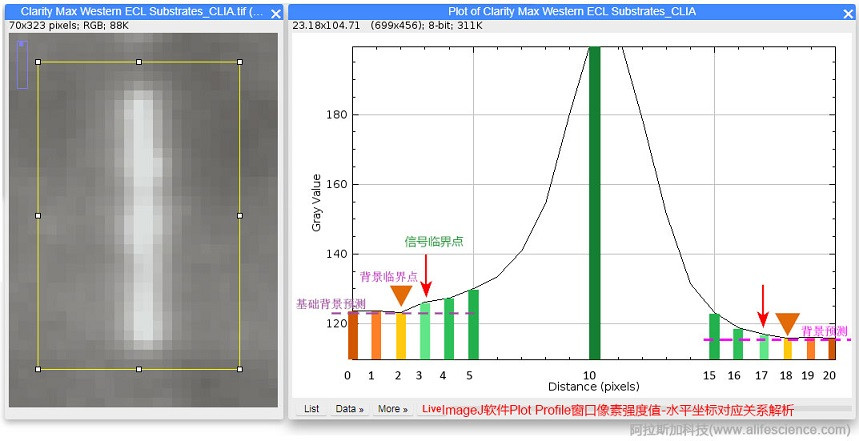 ImageJ軟件Plot Profile窗口像素強(qiáng)度值-水平坐標(biāo)圖解析.jpg