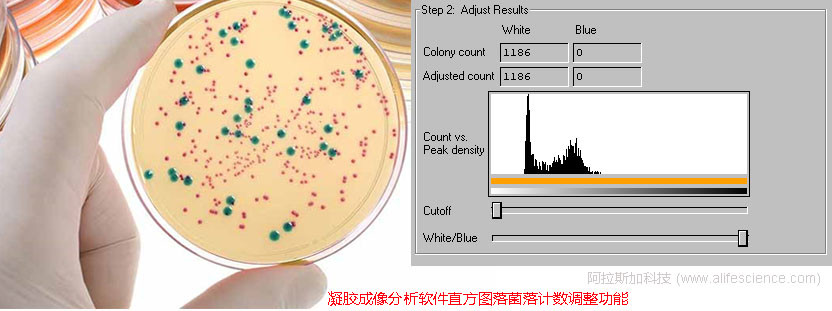 凝膠成像分析軟件菌落計數(shù)調(diào)整功能.jpg