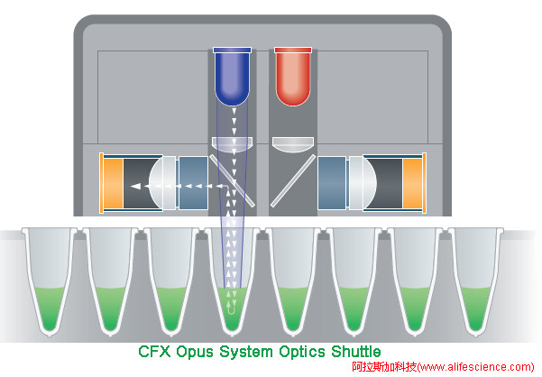 CFX Opus 96 384 實(shí)時(shí)熒光定量PCR儀熒光信號(hào)檢測(cè)單元工作原理.jpg