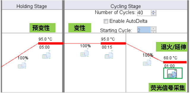 7500 Fast StepOnePlus ViiA7實(shí)時(shí)實(shí)時(shí)熒光定量PCR儀雙溫循環(huán)程序熒光信號(hào)采集時(shí)間設(shè)置.jpg