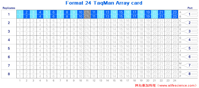 QuantStudio 7 Flex Format 24 TaqMan Array card.jpg