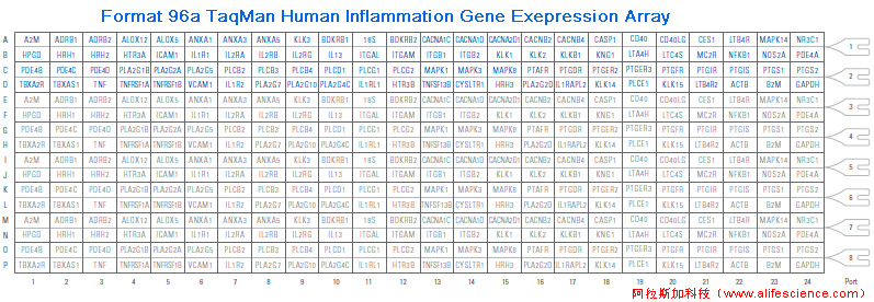 QuantStudio 6 Pro實時熒光定量PCR儀Format 96A 炎癥基因表達(dá)TAC.jpg
