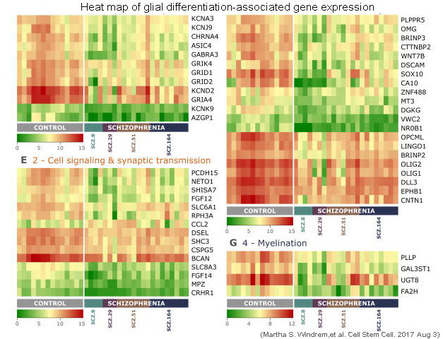 QuantStudio 12K Flex實時熒光定量PCR儀TAC測試數(shù)據(jù)heatmap.jpg