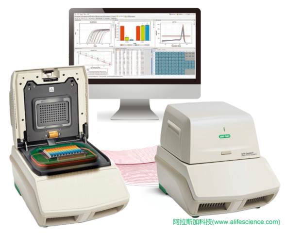 伯樂CFX connect 實(shí)時熒光定量PCR儀.jpg