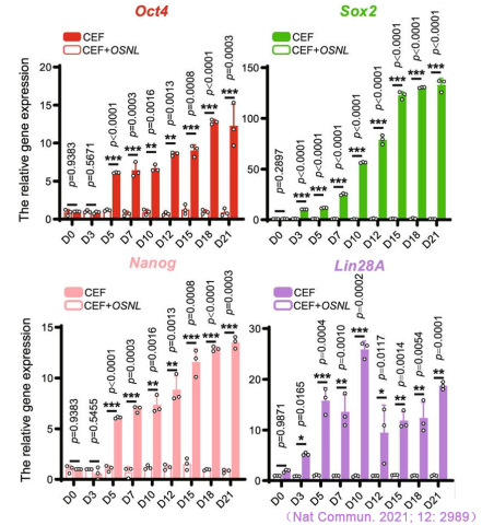 CFX Connect實時熒光定量PCR儀對iPS多能性標(biāo)記基因Oct4、Sox2、Nanog和Lin28A表達的檢測.jpg