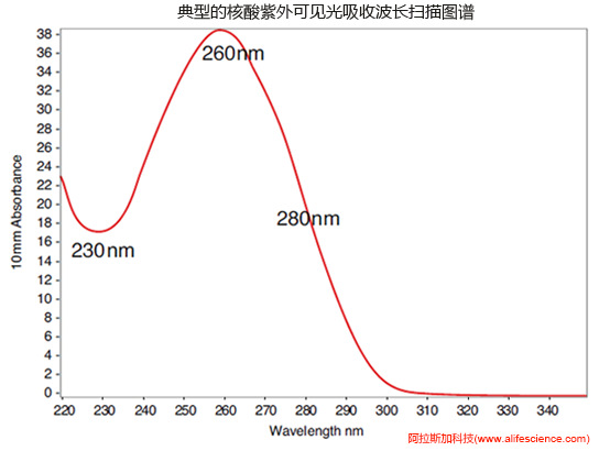 NanoDrop One C的核酸標(biāo)準(zhǔn)紫外波長掃描圖.jpg