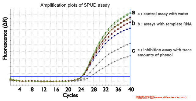 蜂蜜瀏覽器_實(shí)時熒光定量PCR反應(yīng)抑制劑測試.jpg