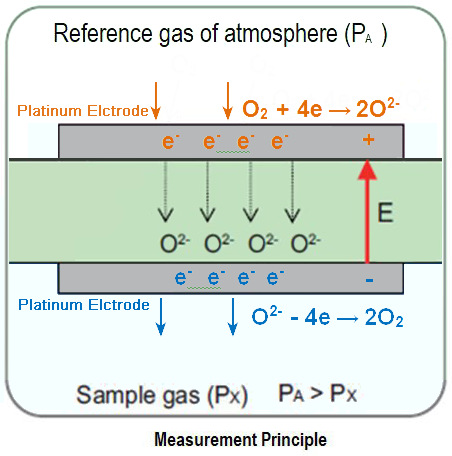 TSE PhenoMaster NG、Columbus CLAMS動物代謝分析系統(tǒng)氣體O2含量監(jiān)測的氧化鋯氧傳感器工作原理.jpg
