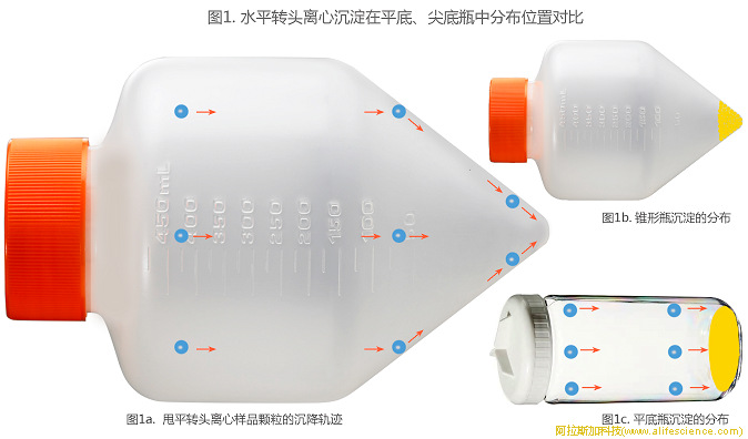 圖1. 水平轉(zhuǎn)頭離心沉淀在平底、尖底瓶中分布位置對比.jpg