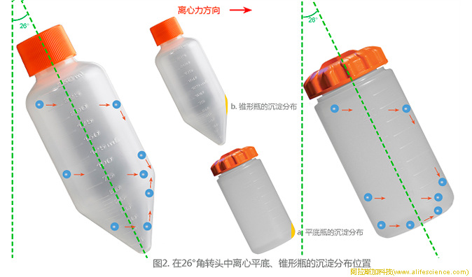 圖2.角轉(zhuǎn)頭中離心平底、錐形瓶的沉淀分布位置.jpg