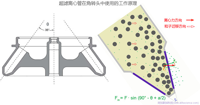 Cytiav Vivaspin 20 超濾離心管在JA-14.50角轉(zhuǎn)頭中的工作原理圖.jpg